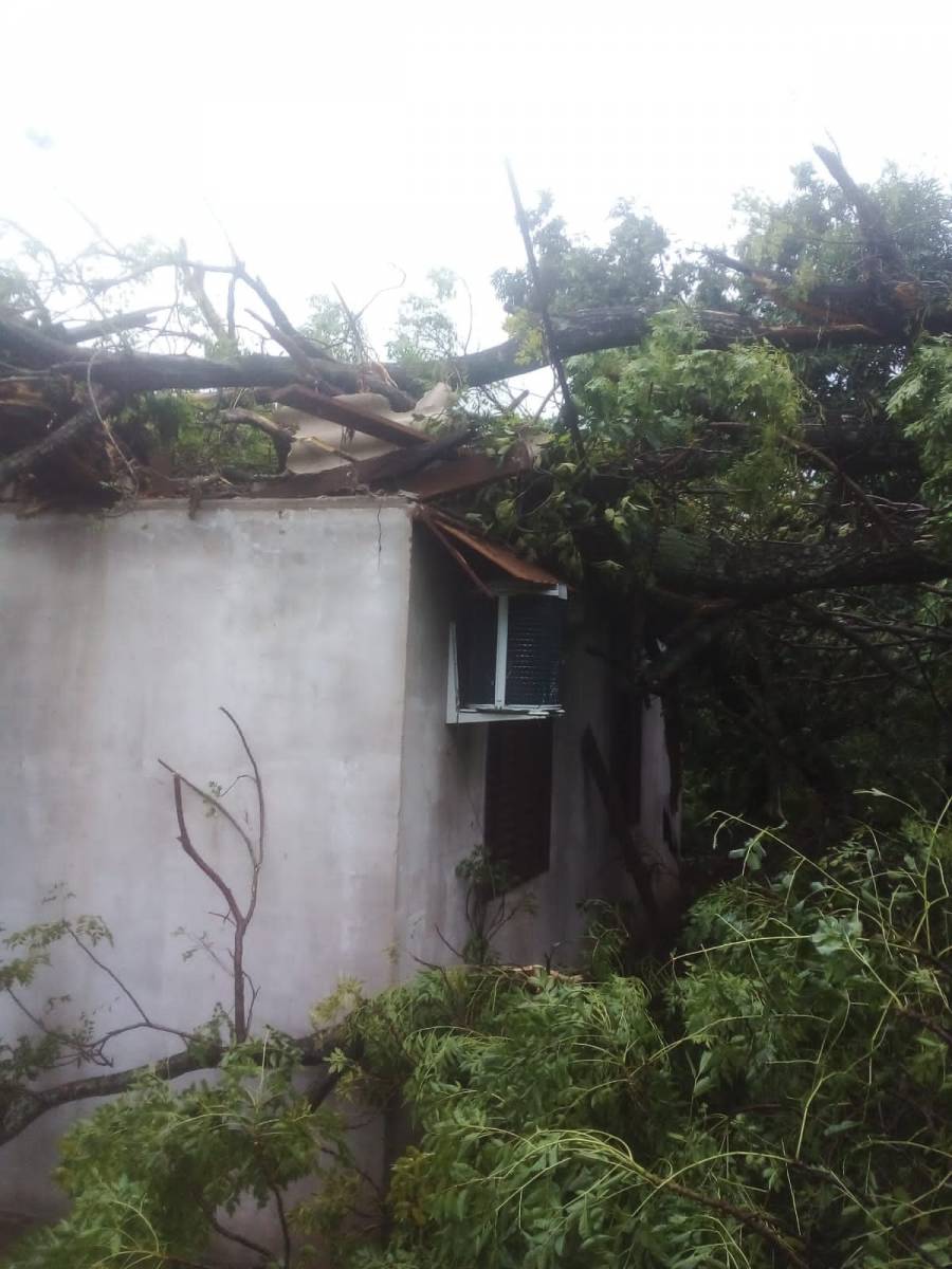 Temporais voltam a causar danos em São Pedro do Butiá
