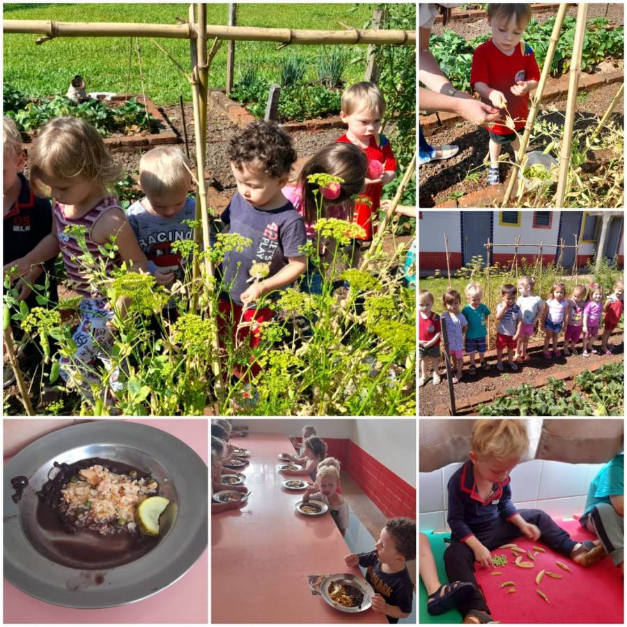 EMEI Arte e Vida desenvolve "Projeto Viveiro Educador"