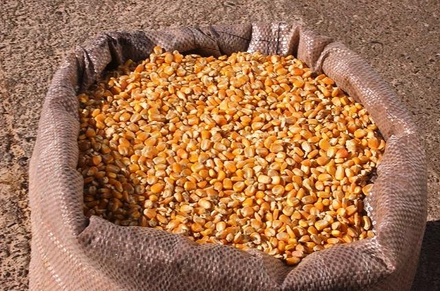 Semente de Milho, Troca-troca