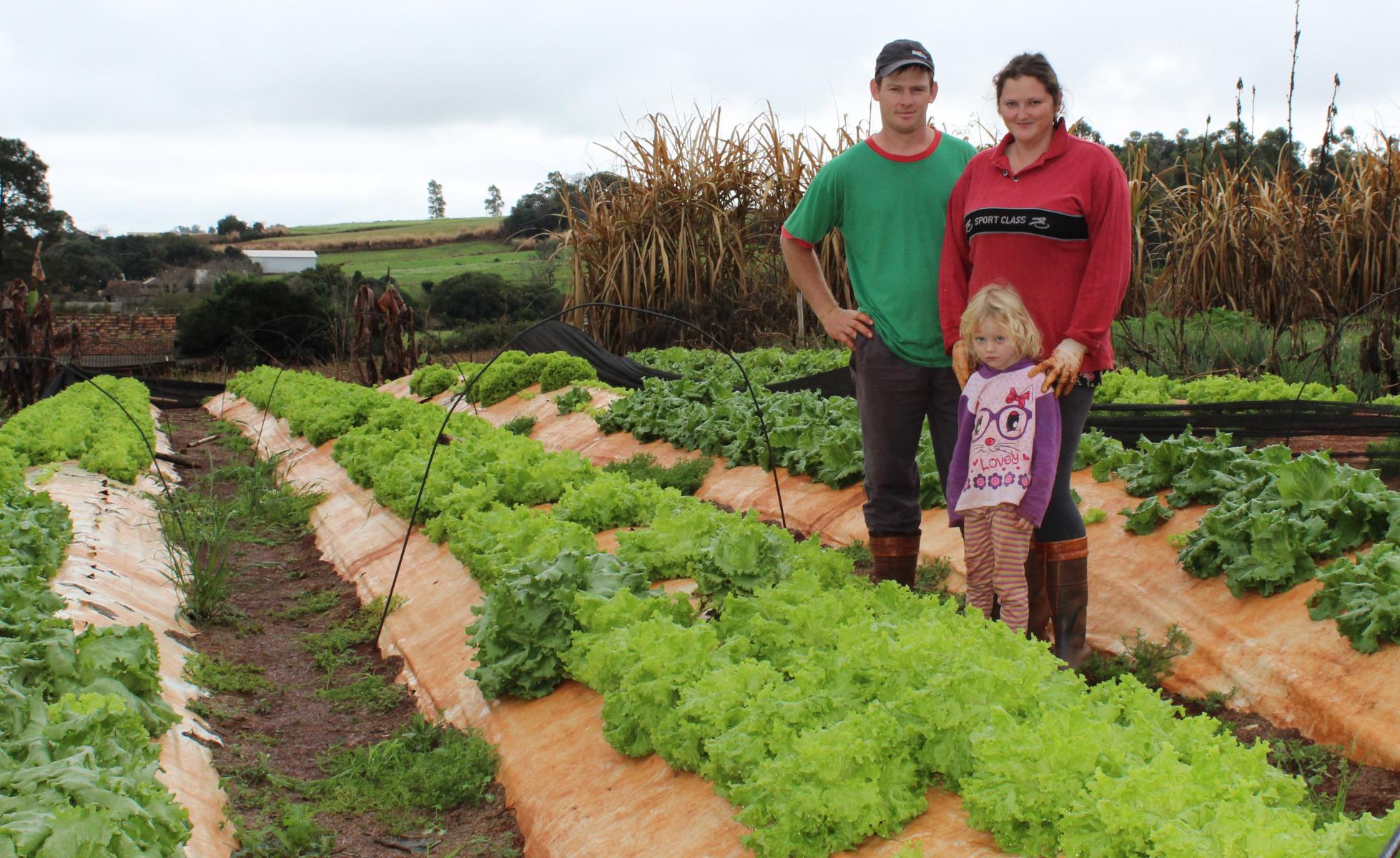 25 de Julho: dia do Colono e do Motorista, as duas forças que movem a terra