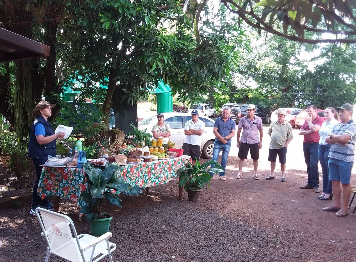 Dia do Colono e Motorista, 25 de Julho