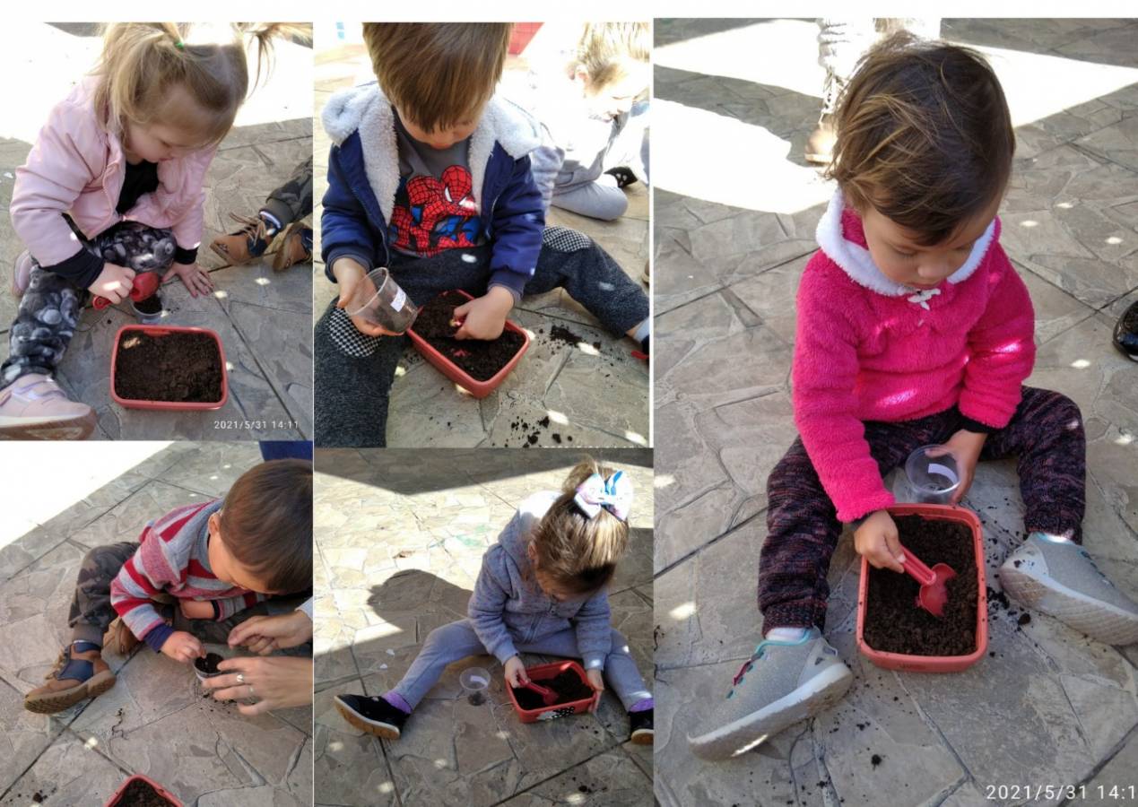 No dia 05 de Junho comemora-se o Dia Mundial do Meio Ambiente