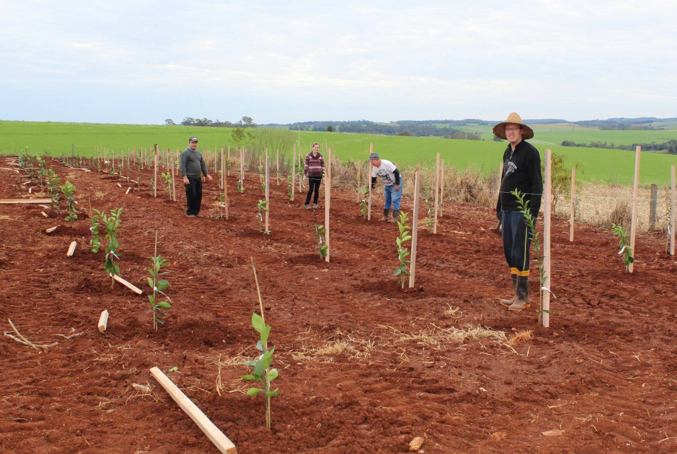 Projeto, Pomar Municipal