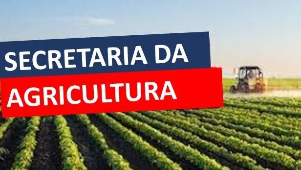 Programa Troca-troca de Sementes de Milho - 2020