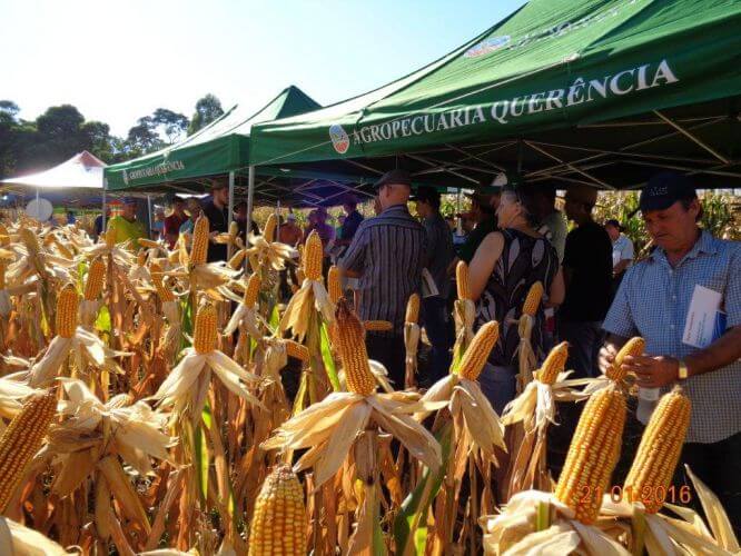 DIA DE CAMPO SUPEROU EXPECTATIVAS