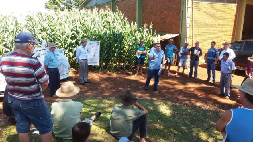 DIA DE CAMPO NA COTRISA – SÃO PEDRO DO BUTIÁ