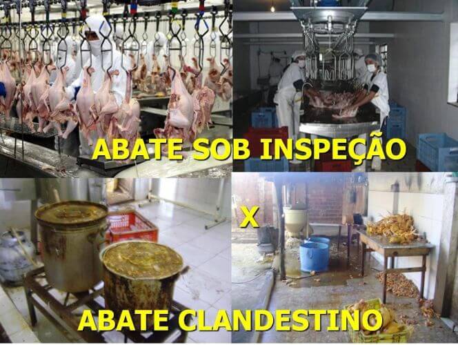 ABATE DE CARNE INSPECIONADA X ABATE DE CARNE CLANDESTINA