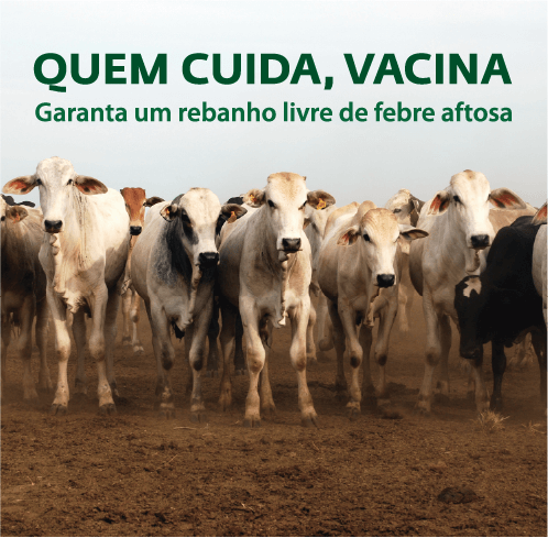 VACINAÇÃO CONTRA FEBRE AFTOSA – 2ª ETAPA