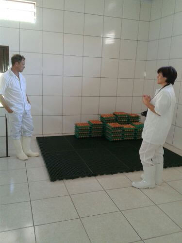 SÃO PEDRO DO BUTIÁ RECEBEU A AUDITORIA DO MAPA