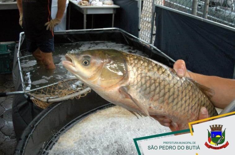 CONVITE PARA FEIRA DO PEIXE