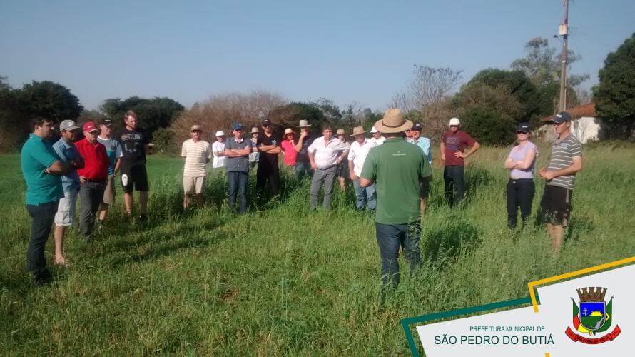 DIA DE CAMPO DO PROGRAMA PISA