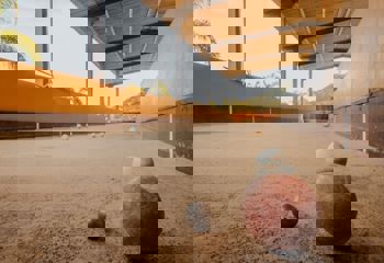 <p>Ta&ccedil;a Ferragem Dalcin de Bocha: 1&ordf; rodada</p>